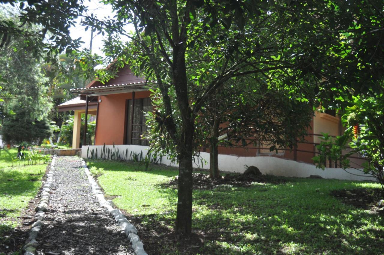 Hospedaje Amanecer Bed and Breakfast Turrialba Buitenkant foto