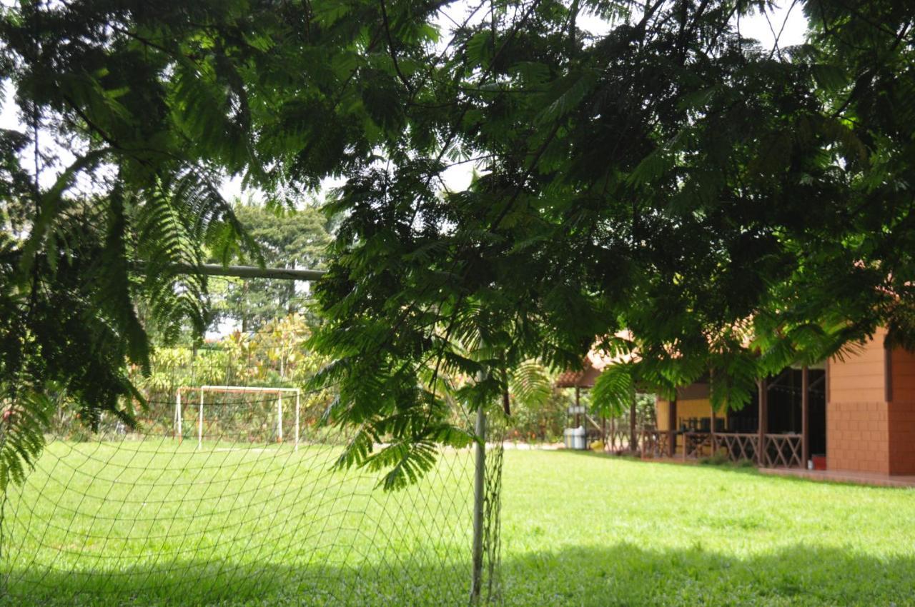 Hospedaje Amanecer Bed and Breakfast Turrialba Buitenkant foto