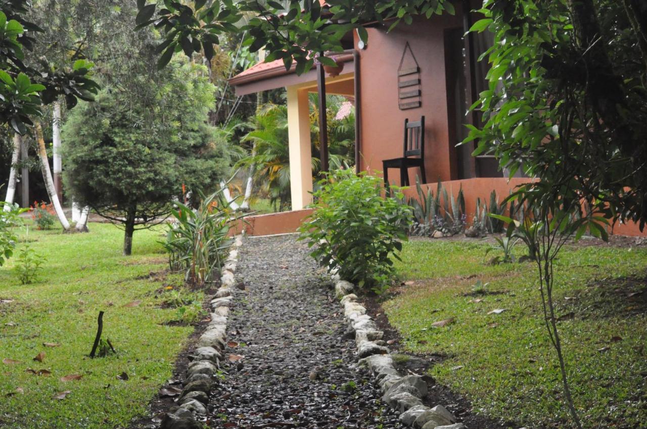 Hospedaje Amanecer Bed and Breakfast Turrialba Buitenkant foto