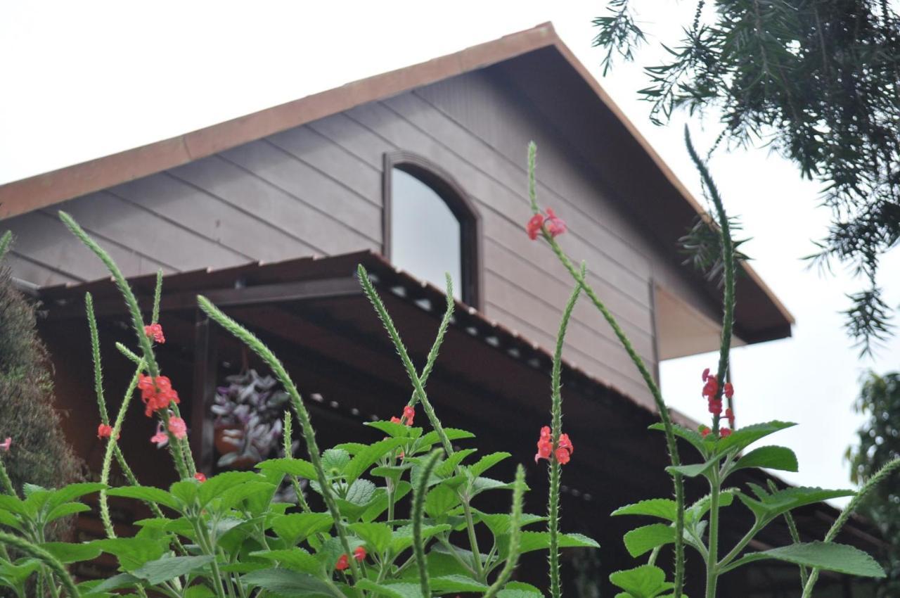 Hospedaje Amanecer Bed and Breakfast Turrialba Buitenkant foto