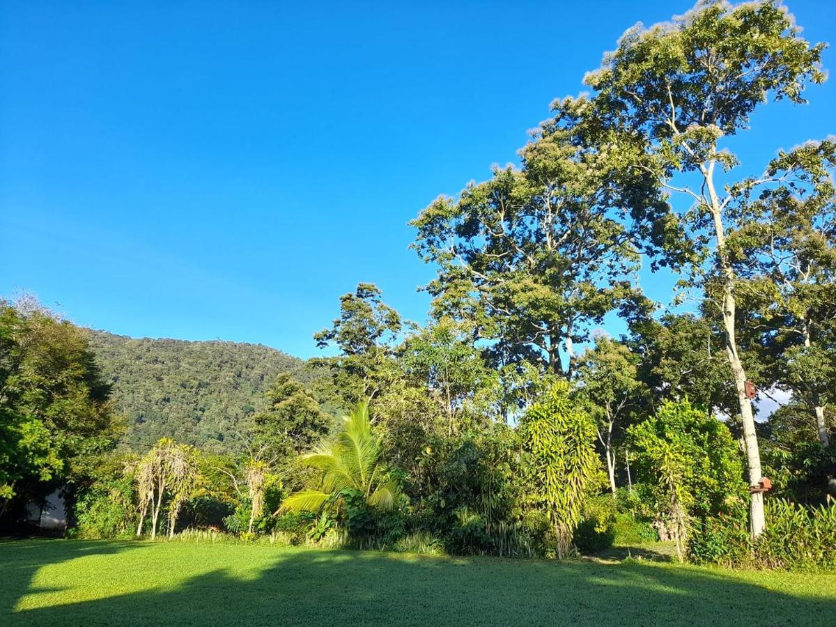 Hospedaje Amanecer Bed and Breakfast Turrialba Buitenkant foto