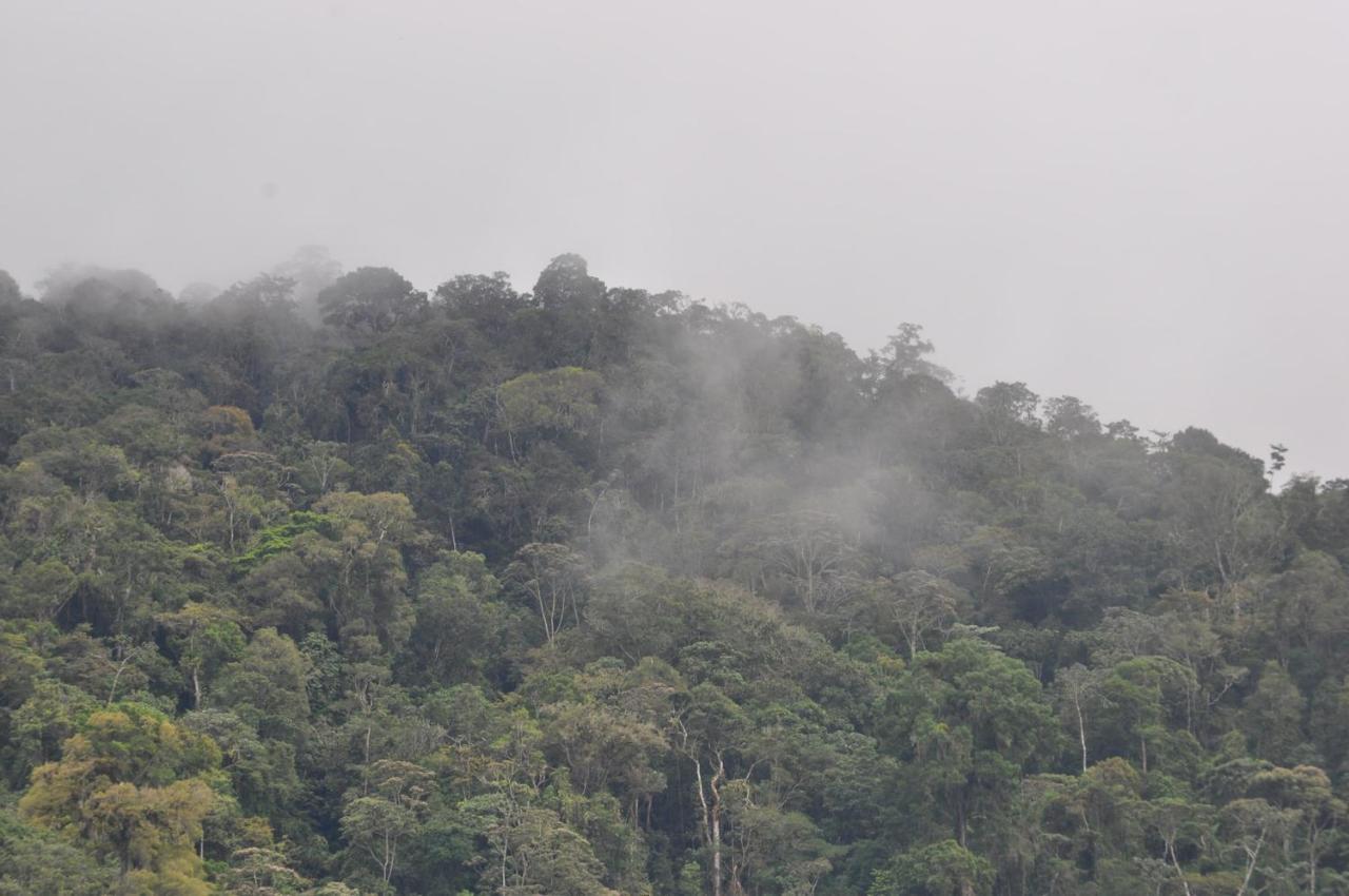 Hospedaje Amanecer Bed and Breakfast Turrialba Buitenkant foto