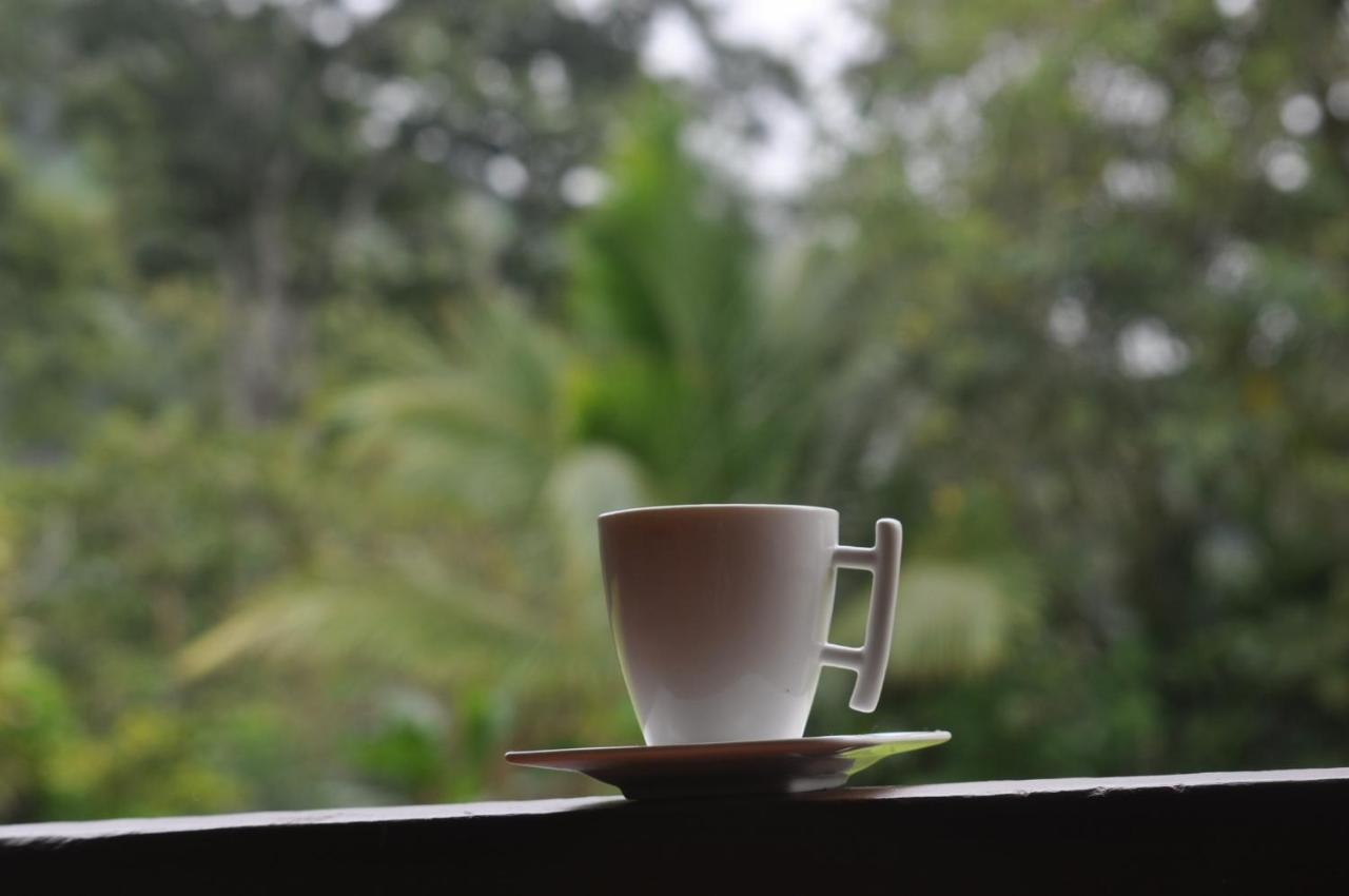 Hospedaje Amanecer Bed and Breakfast Turrialba Buitenkant foto