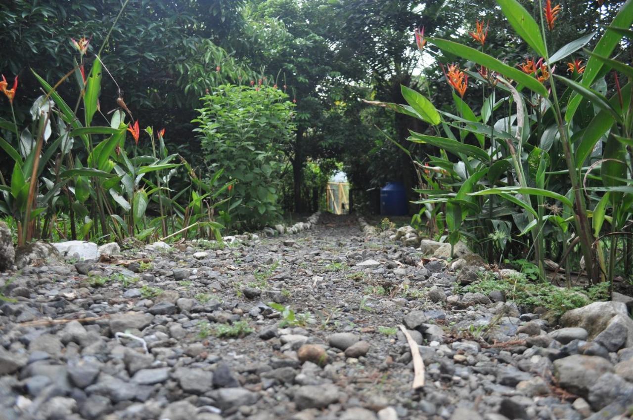 Hospedaje Amanecer Bed and Breakfast Turrialba Buitenkant foto