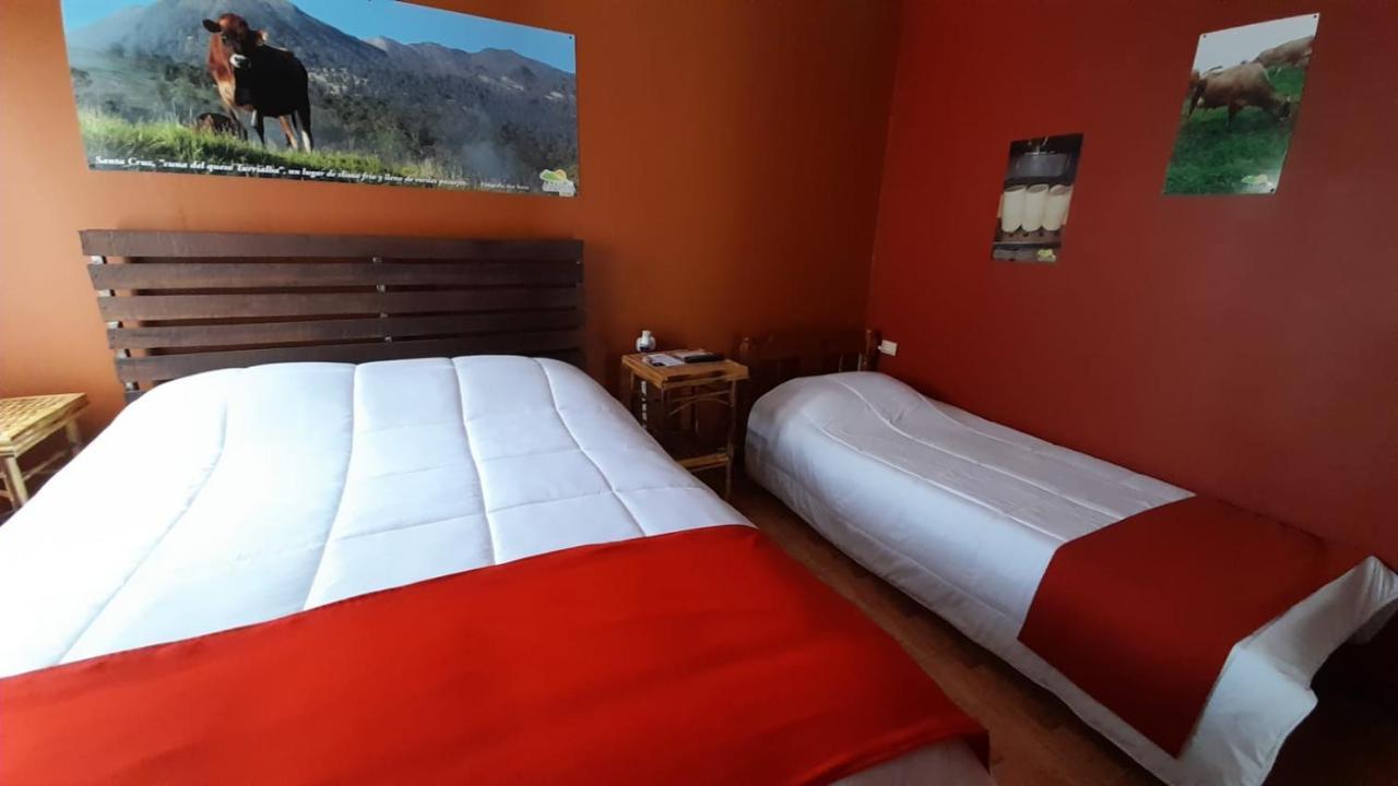 Hospedaje Amanecer Bed and Breakfast Turrialba Buitenkant foto