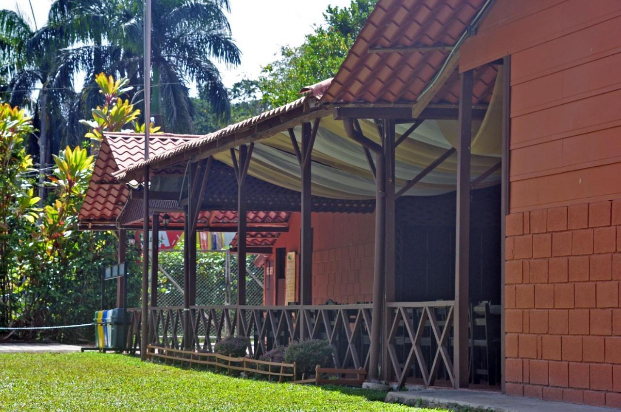 Hospedaje Amanecer Bed and Breakfast Turrialba Buitenkant foto