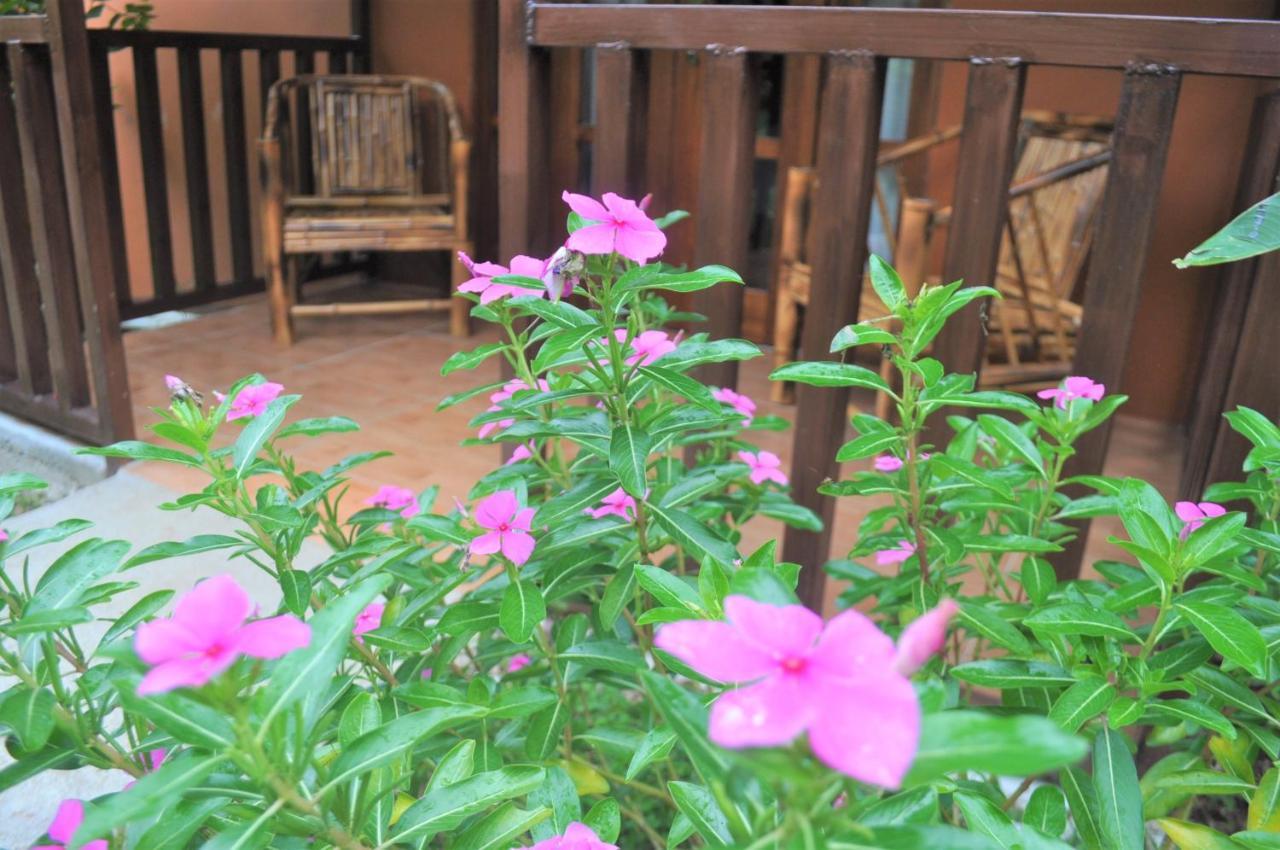 Hospedaje Amanecer Bed and Breakfast Turrialba Buitenkant foto