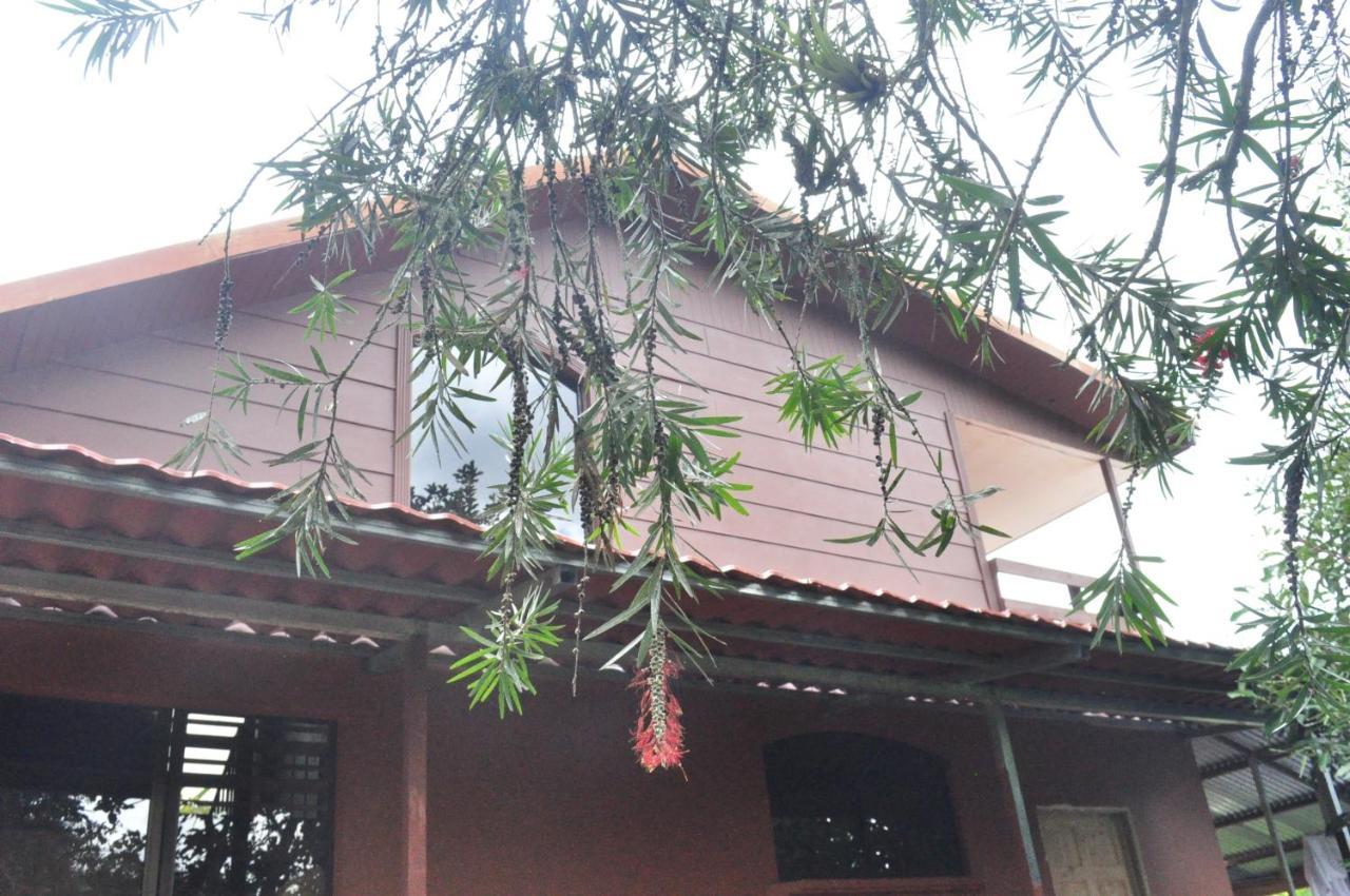Hospedaje Amanecer Bed and Breakfast Turrialba Buitenkant foto
